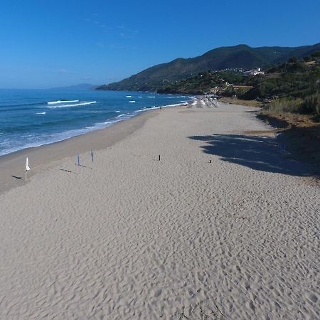 Residence Le Palme - Appartamenti Sul Mare - Spiaggia Tra Palinuro E Caprioli Пішьотта Екстер'єр фото
